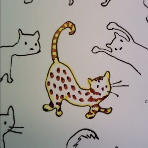 Meet your Posher, Nishaat